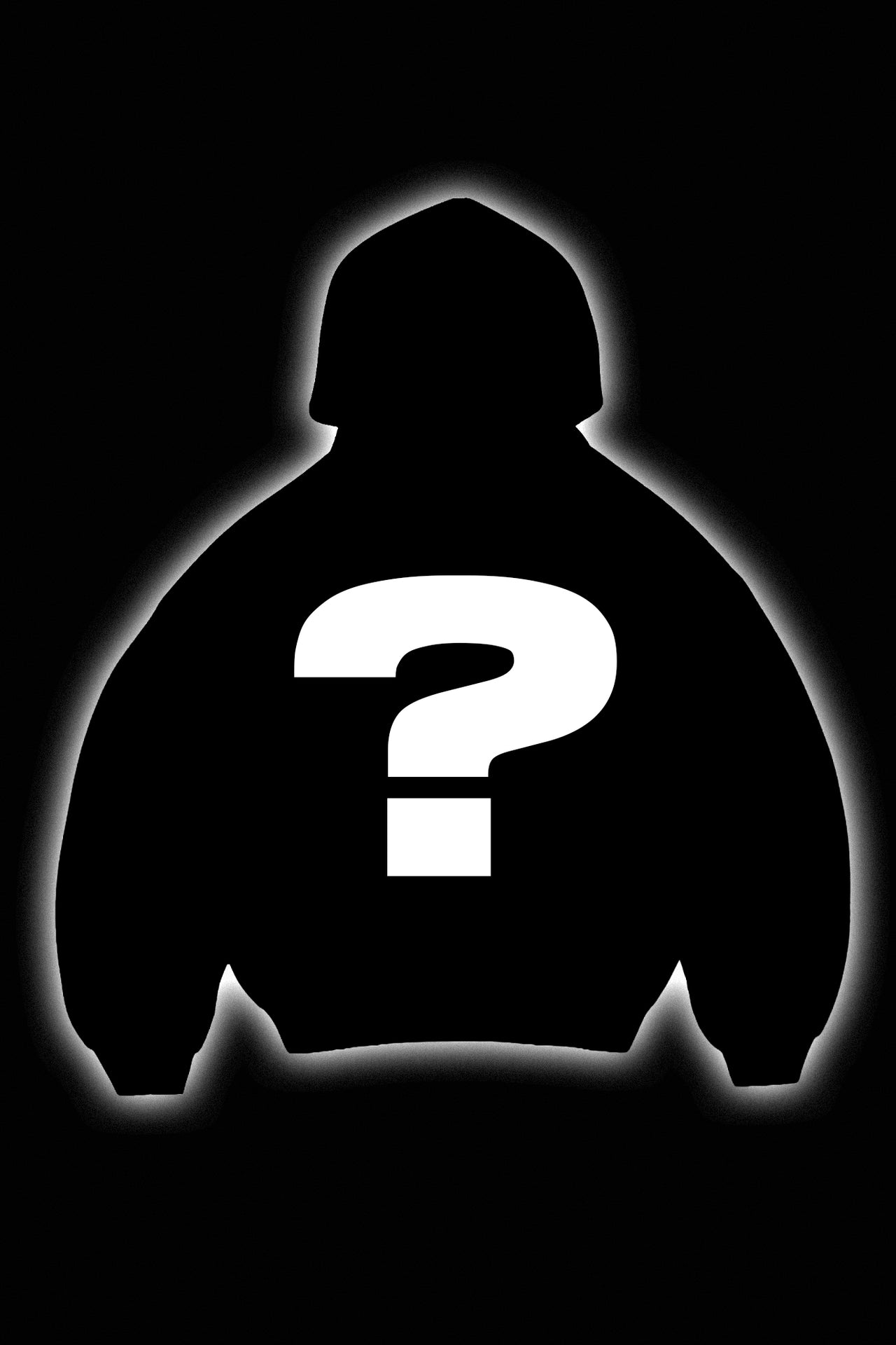 MYSTERY HOODED -SWEATSHIRT